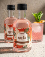 ⁦קוקטייל חמצמץ מרענן ללא אכוהול - Vida Rosa⁩ – תמונה ⁦4⁩