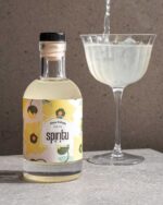 ⁦קוקטייל מתקתק ופירותי קלאסי - Pina Colada⁩ – תמונה ⁦4⁩