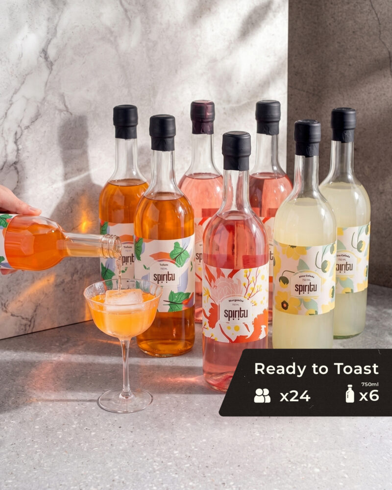 מארז קוקטיילים מושלם להרמת כוסית - Ready to Toast