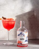 ⁦קוקטייל מריר ומרענן לקיץ - Red Sunrise⁩ – תמונה ⁦6⁩